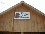 Zwingerdach